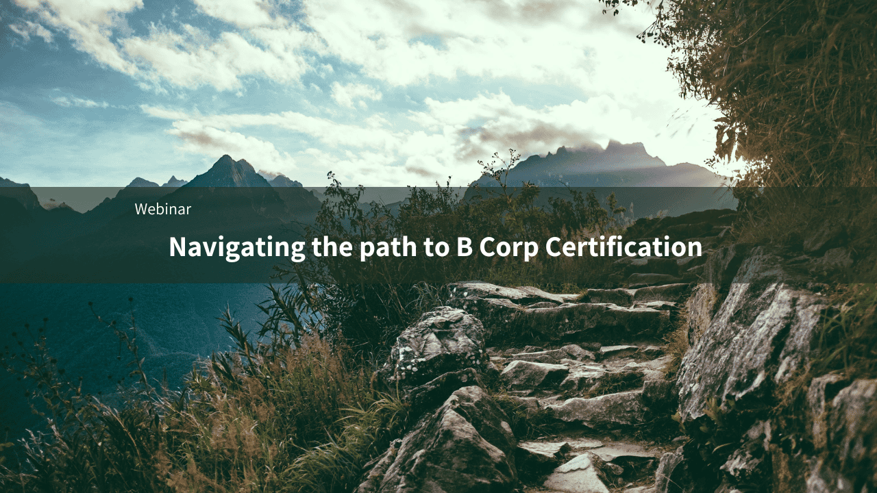 Steps on mountain for navigating B Corp Certification with Good 4 Business